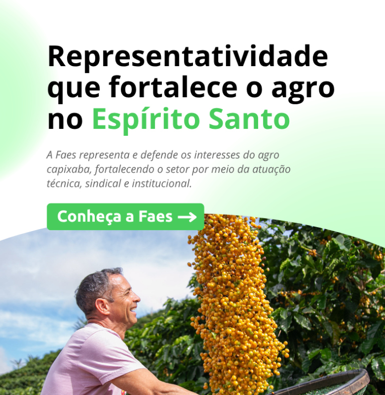 REPRESENTATIVIDADE